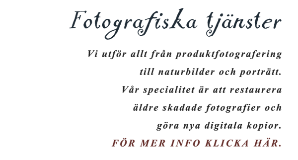 Fotografiska tjänster